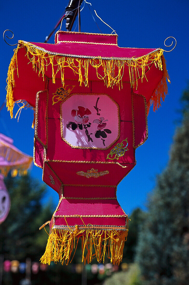 Chinese Lampion, Montreal, Quebec Canada