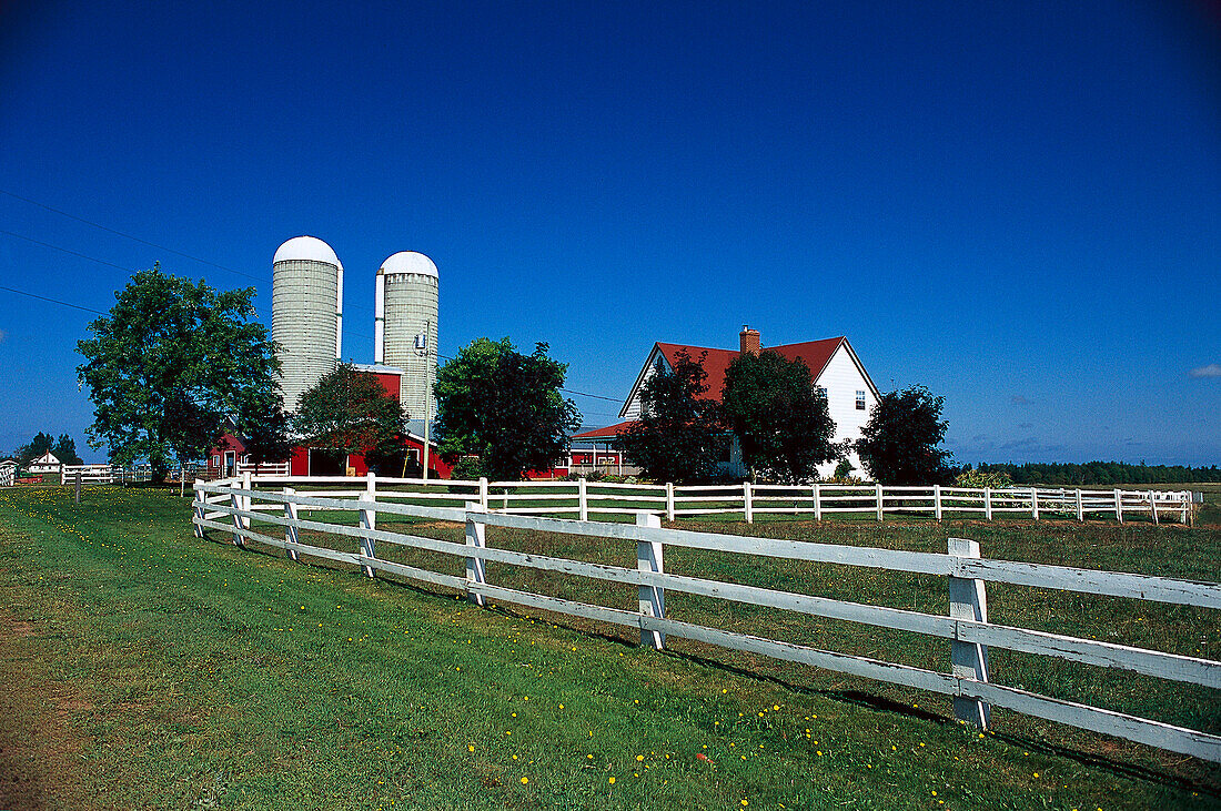 Farm, Agrculture, Prince Edward Island Canada