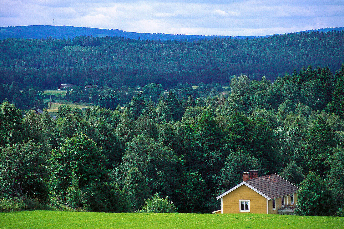 Einsamer Bauernhof in idyllischer Landschaft, Vetlanda, Smaland, Schweden, Europa