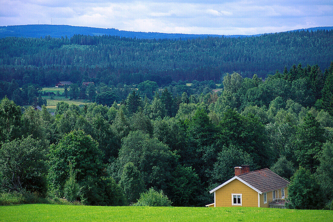 Lonesome farm house at idyllic scenery, Vetlanda, Smaland, Sweden, Europe