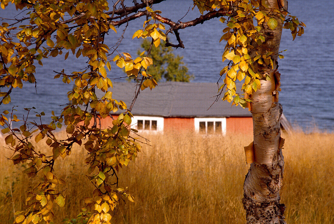 Bauernhaus im Herbst am Wasser, Finnmark, Norwegen