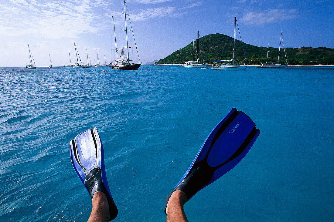 Schnorcheln vor Petit St. Vincent, Segeltörn durch Windward Islands St. Vincent & The Grenadines