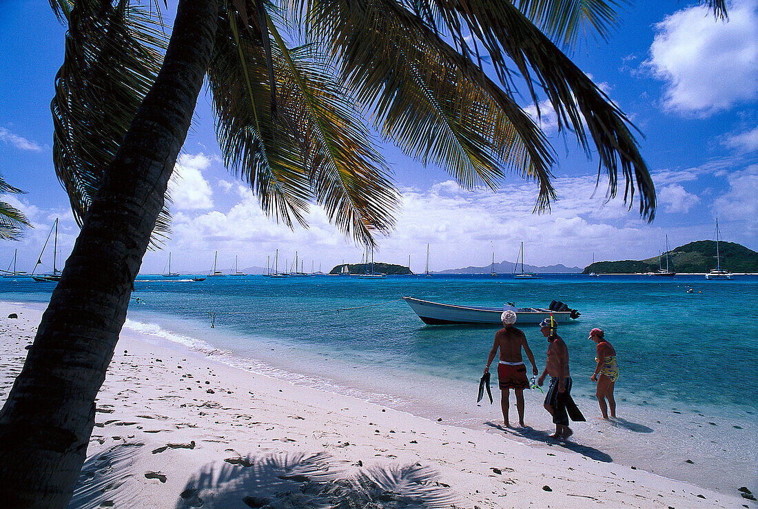 Strand, Tobago Cays, St. Vincent, Grenadinen