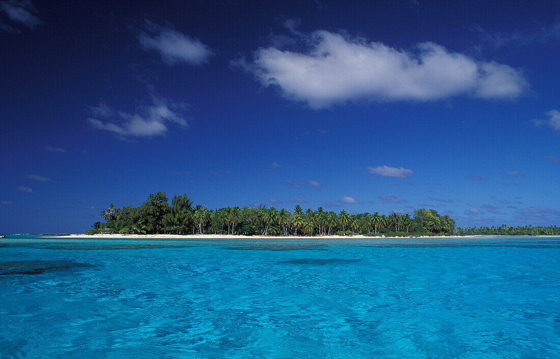 Palm island of the atoll Rangiroa in the sunlight, French Polynesia, South Pacific, Oceania