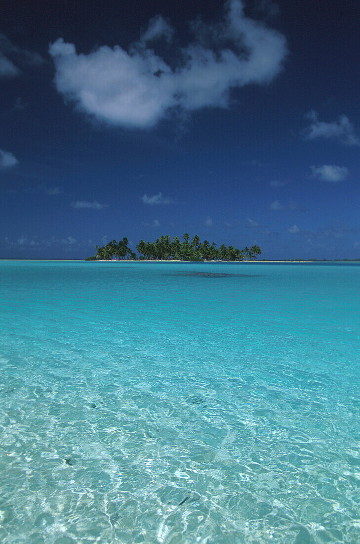 Insel Motu an Blauer Lagune, Atoll Rangiroa, Tuamotu Inseln Franzoesisch Polynesien