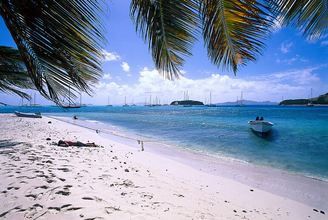 Strand auf den Tobago Cays, St. Vincent, Grenadinen