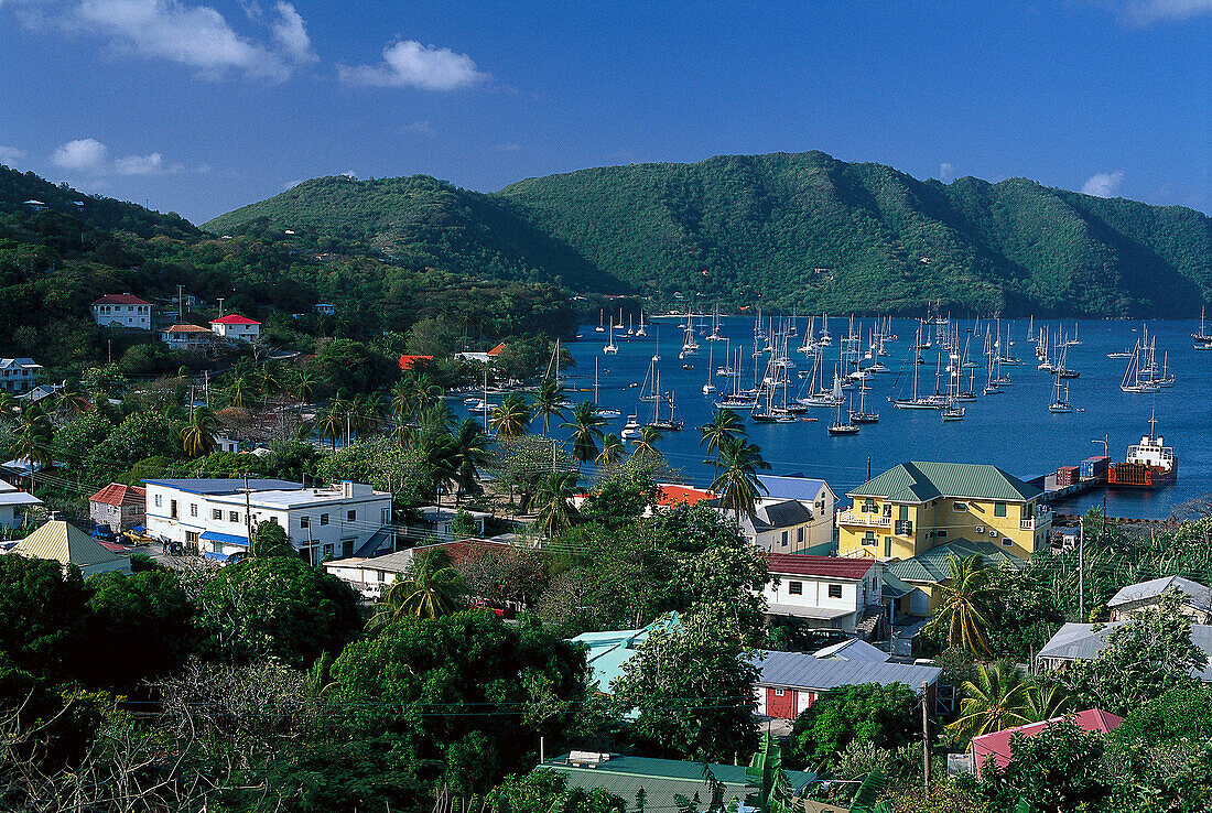 Blick über Häuser auf Segelboote in einer Bucht unter blauem Himmel, Admiralty Bay, Port Elizabeth, Bequia, St. Vincent, Grenadinen, Karibik, Amerika