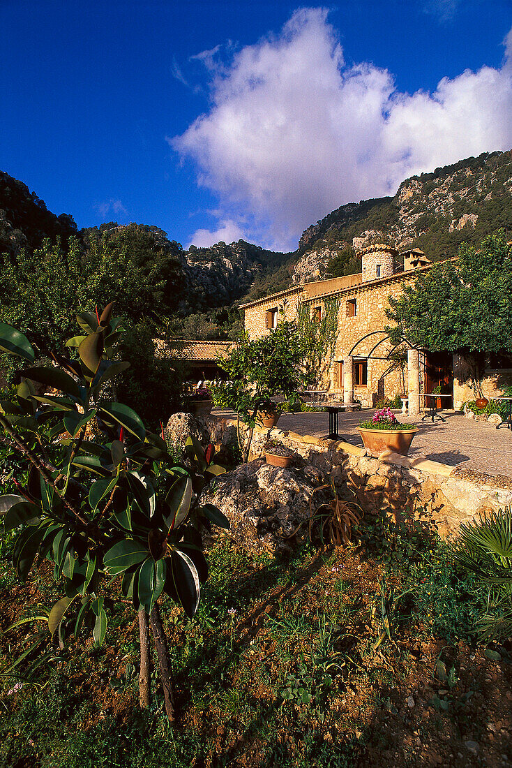 Finca Ets Abellons und Garten unter blauem Himmel, Tramuntura, Mallorca, Spanien, Europa