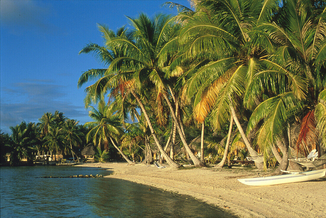 Strandbungalows zwischen Palmen, Manihi Pearl Beach Resort, Manihi Tuamotus, Französisch Polynesien
