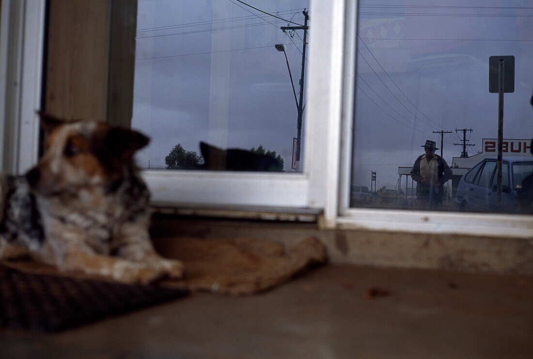 Hund vor der Tür eines Pubs, Regen in Boulia, Simpson Desert, Australien