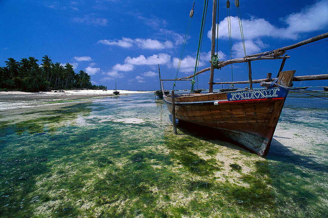 Sailing Ship Dhow, Beach of Nungwi Zansibar, Tanzania