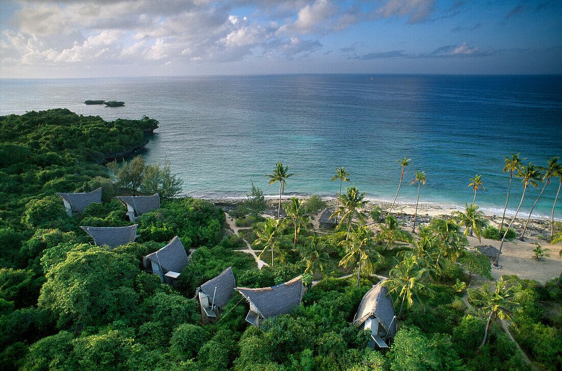 View at the palm beach of an idyllic island, Chumbe Island, Tanzania, Africa