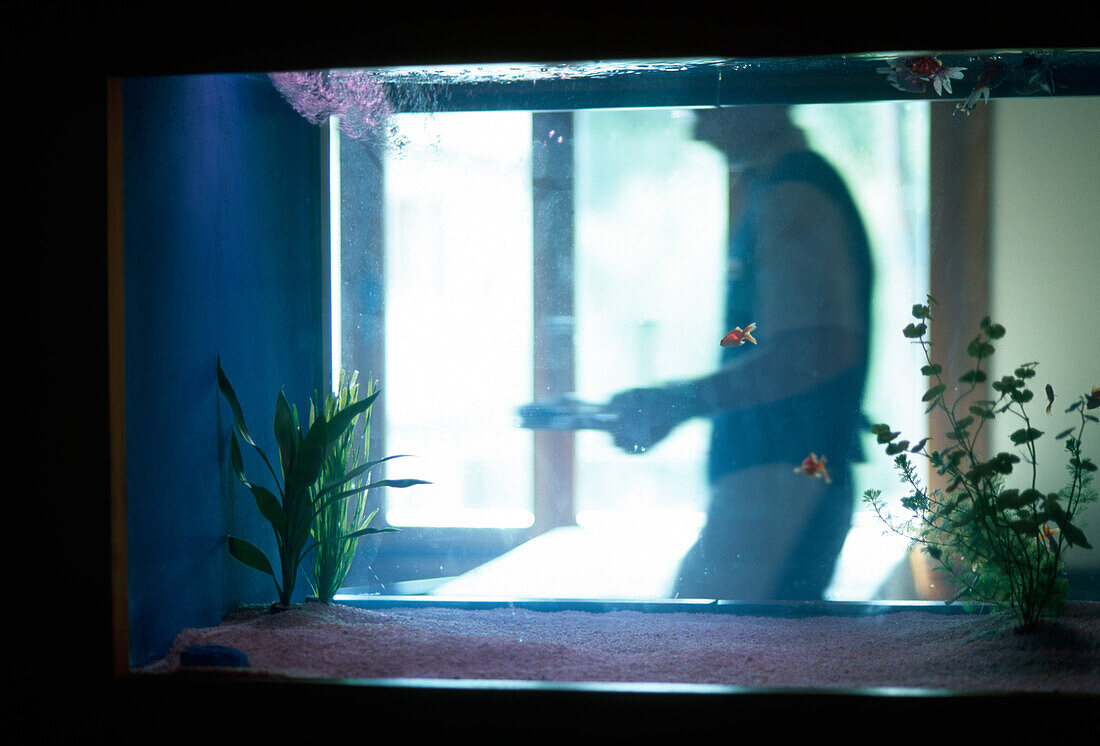 Blick durch ein Aquarium auf einen Kellner, Restaurant Cavall Bernat, Hotel Cala Sant Vicenc, Mallorca, Spanien