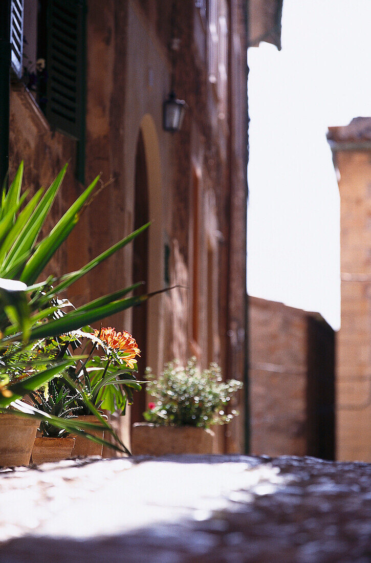 Blick auf sonnenbeschienene Blumenkästen in einer Gasse, Fornalutx, Mallorca, Spanien