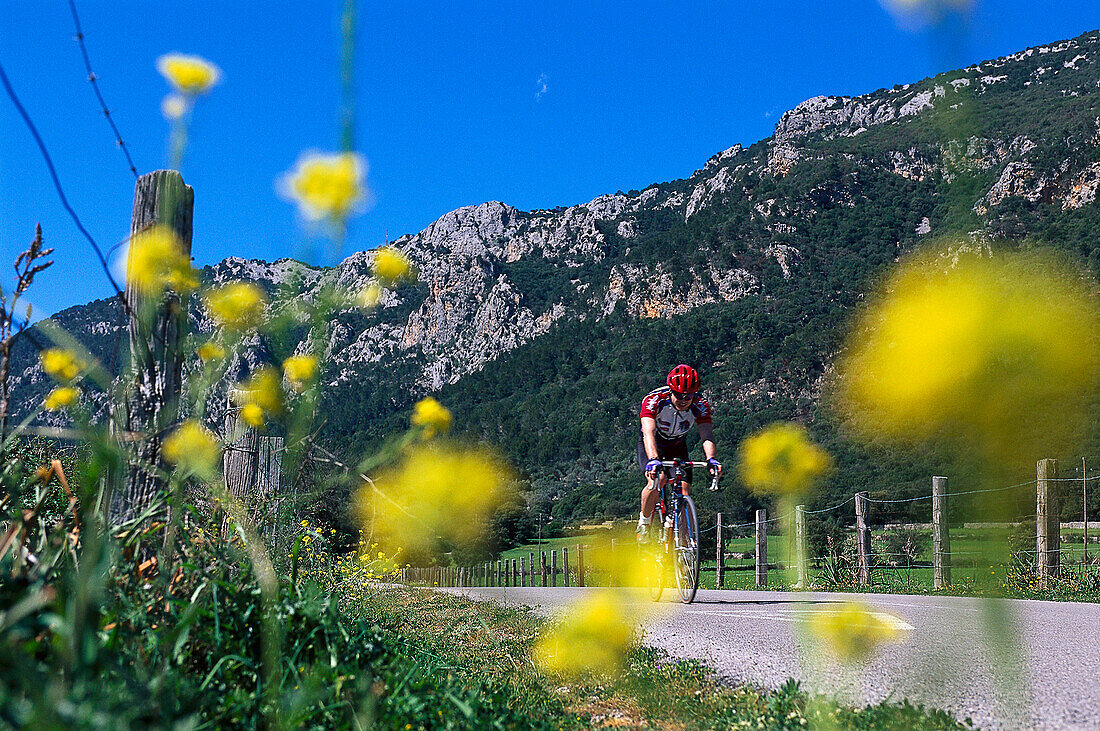 Cyclist on a lonesome country road under blue sky, Tramuntana, Majorca, Spain, Europe