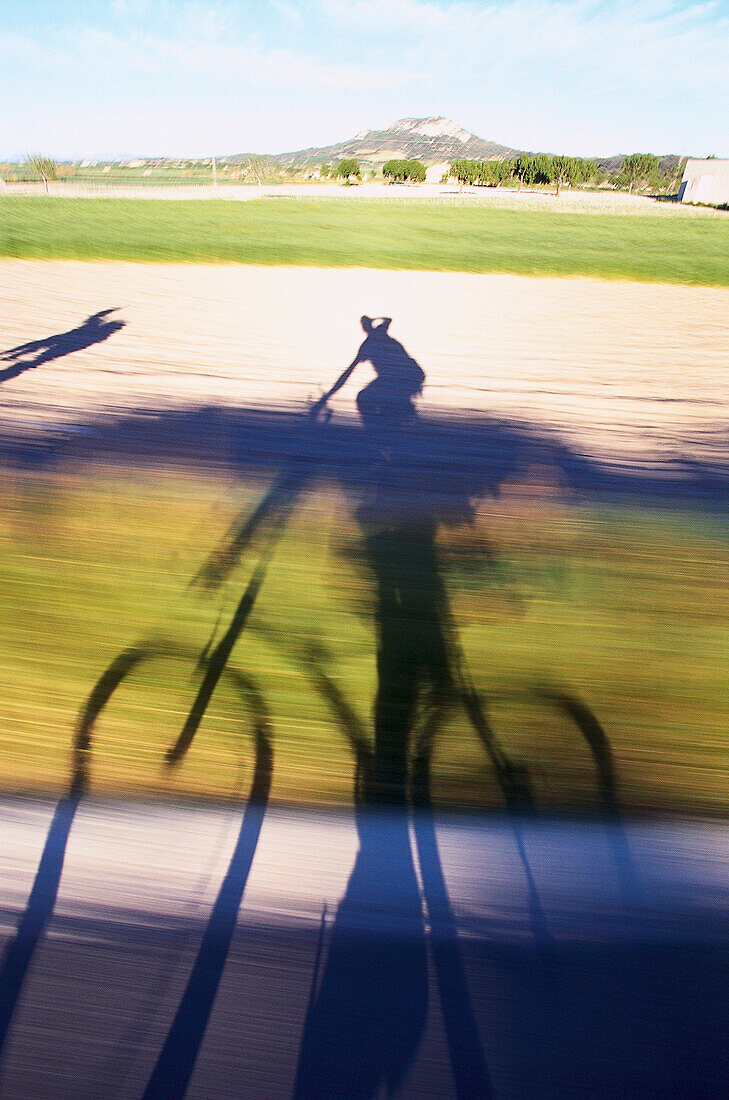 Shadow of a cyclist, country road near Sineu, Majorca, Spain