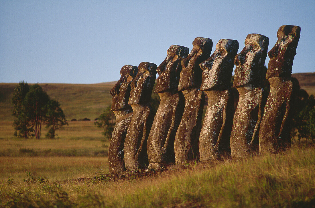 Blick auf verwitterte Moai Statuen in einer menschenleeren Landschaft, Ahu A Kivi, Osterinsel, Chile