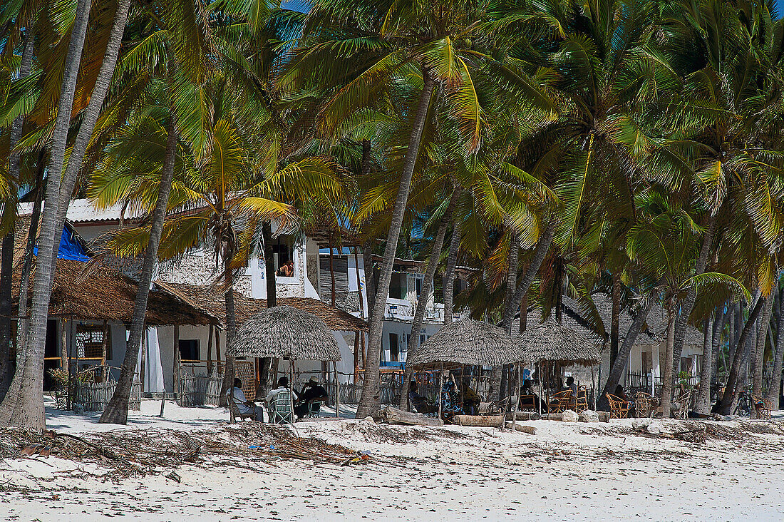 Guest Houses, Bewejuu, Sansibar TanZania