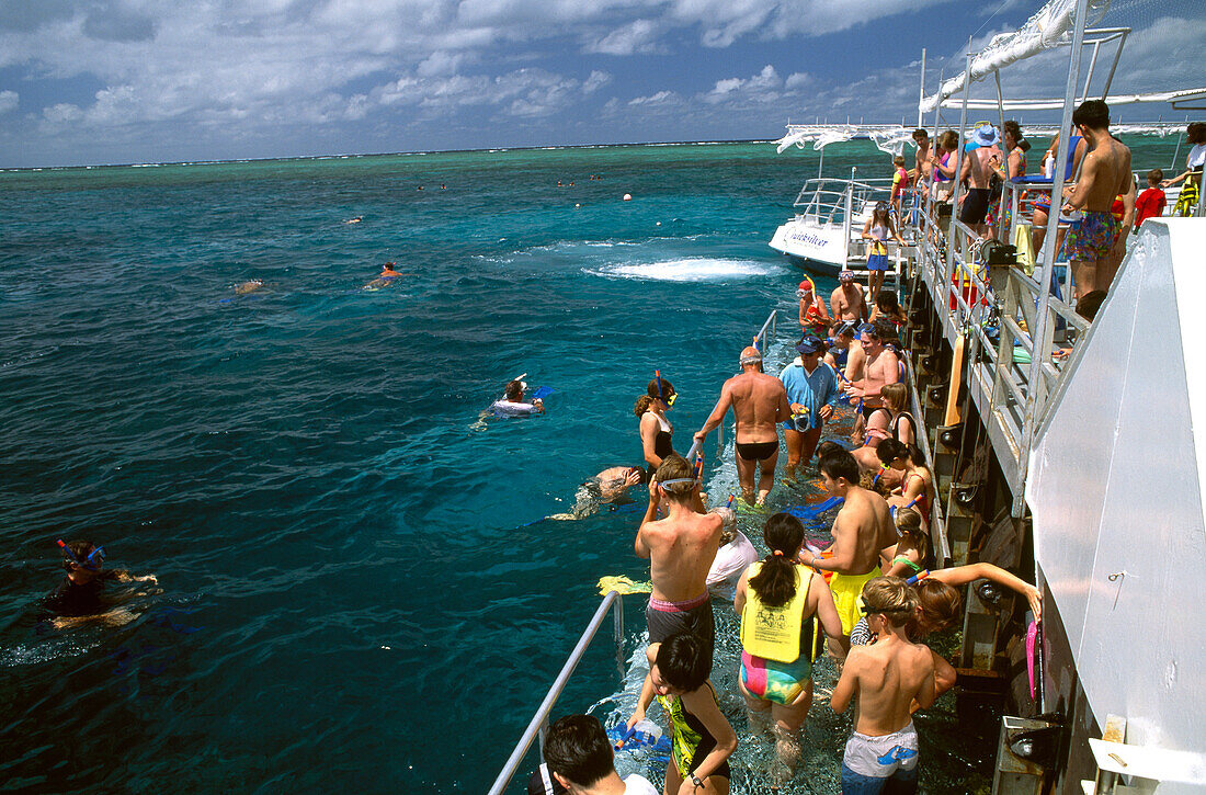 Menschen in Badebekleidung auf einem Ausflugsboot und beim Schnorcheln im Meer, Agincourt Reef, Quicksilver Ponton, Queensland, Australien