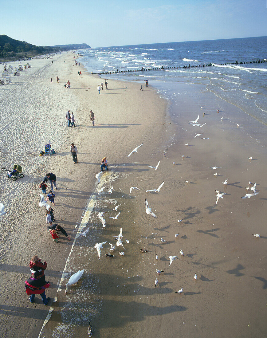 People walking along the Baltic Sea, Heringsdorf, Island Usedom, Mecklenburg-Western Pomerania, Germany