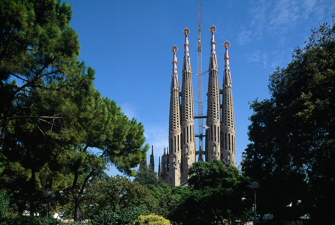Die Türme der Kathedrale Sagrada Familia unter blauem Himmel, Barcelona, Katalonien, Spanien