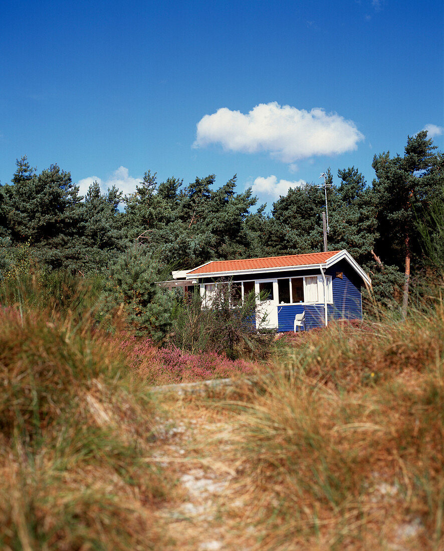 Einsames Sommerhaus vor Bäumen unter blauem Himmel, Snogebaek, Bornholm, Dänemark