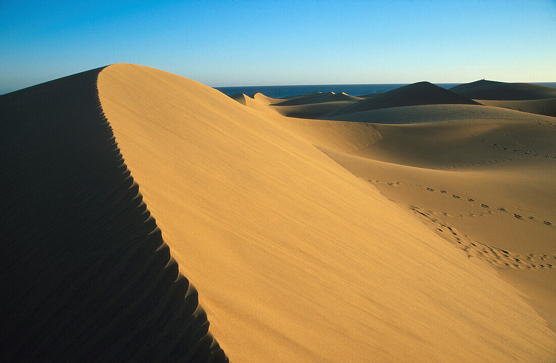 Sanddünen im Sonnenlicht, Maspalomas, Gran Canaria, Kanarische Inseln, Spanien, Europa