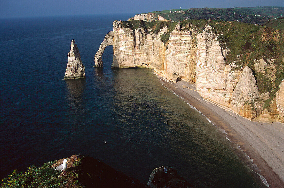 Chalk cliff, Etretat Normandy, France – Bild kaufen – 70009823 lookphotos