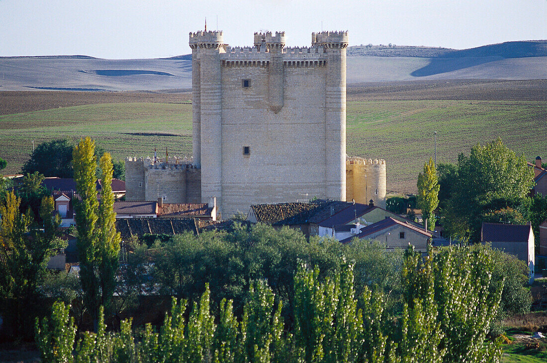 Castillo Torrelobaton, Tierra de Campos, Castilla Spain