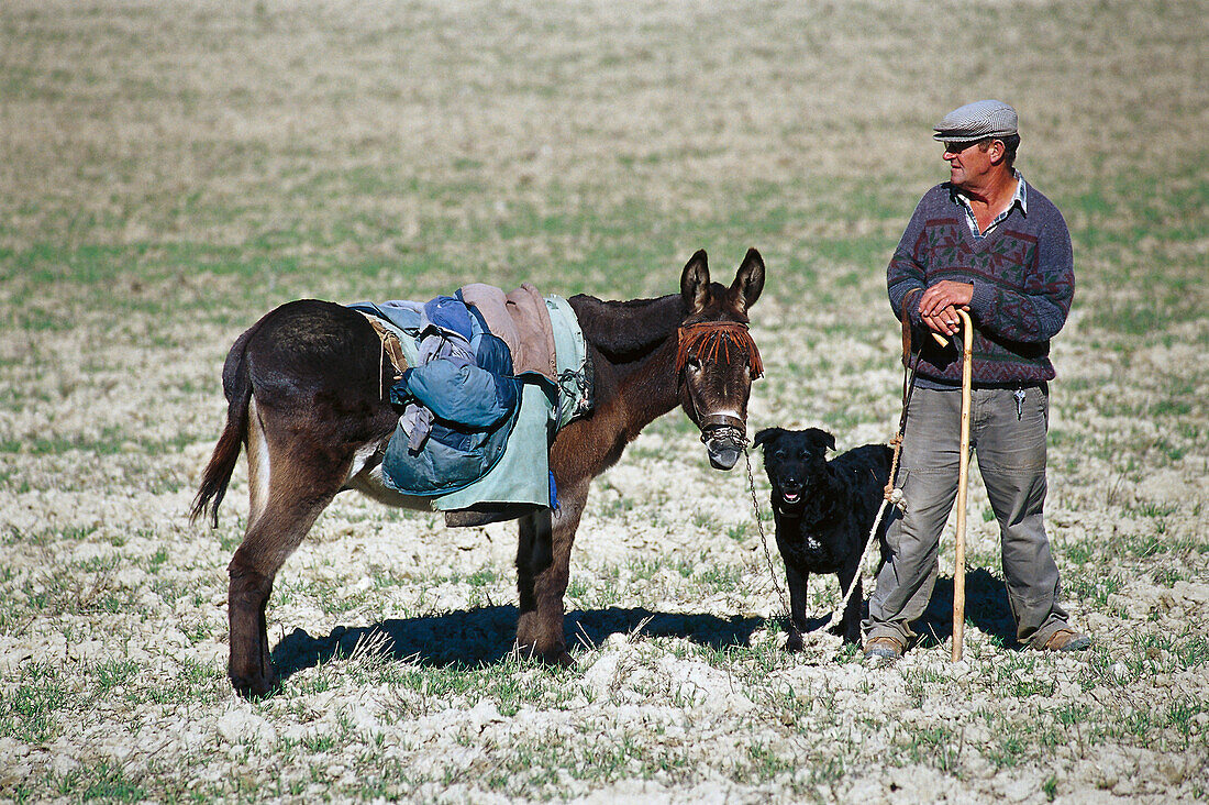 Shepherd & Donkey, Tierra de Campos, Castilla Spain