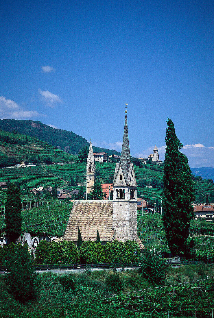 Tramin, Wineroute, South Tyrol Italy