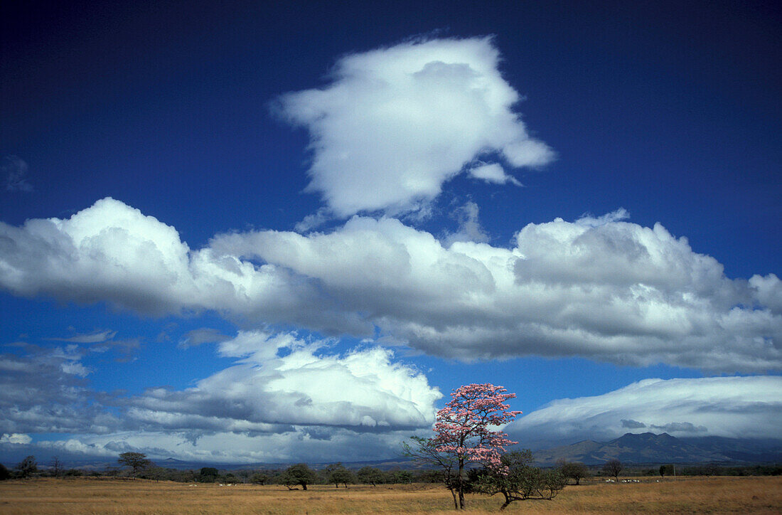 Landscape of Cordilliera de Guanacaste, Costa Rica, Caribbean, Central America