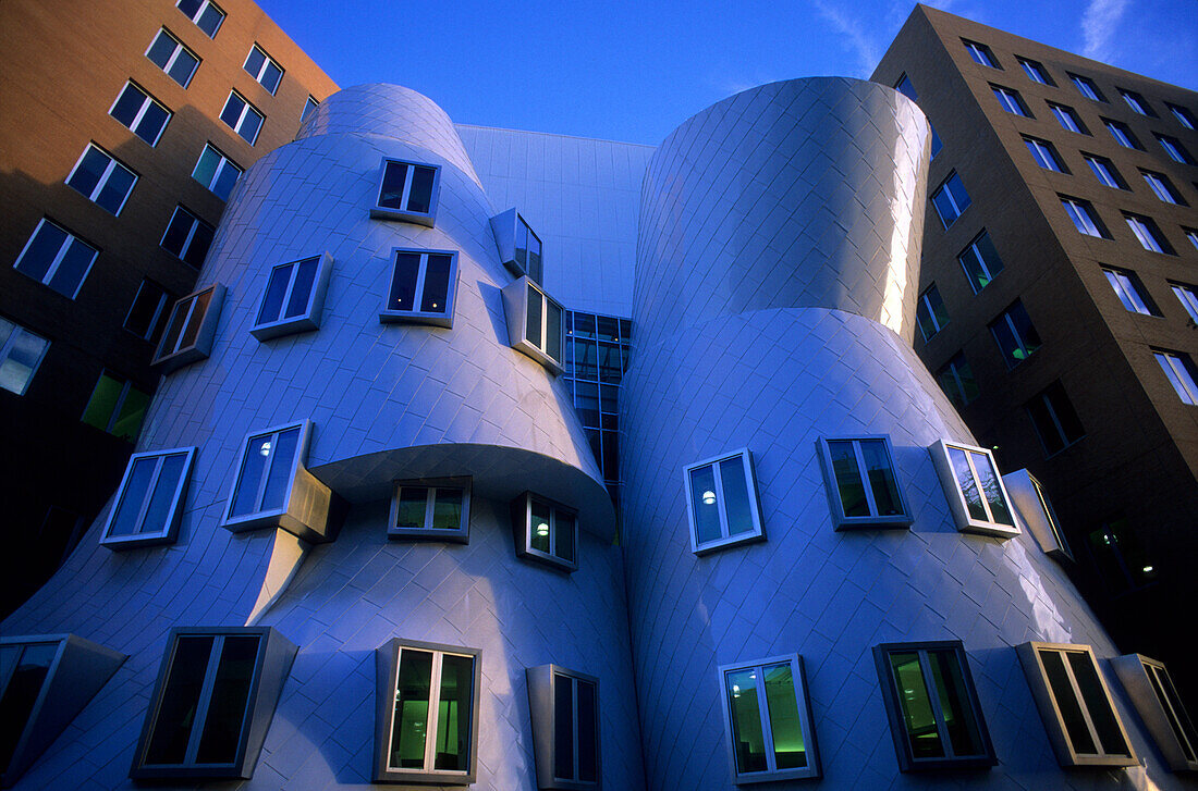 Stata Center at MIT, designed by Frank Gehry, Cambridge, Boston, Massachusetts, USA