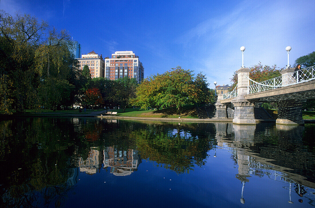 Lagoon at Public garden, Boston Massachusetts, USA