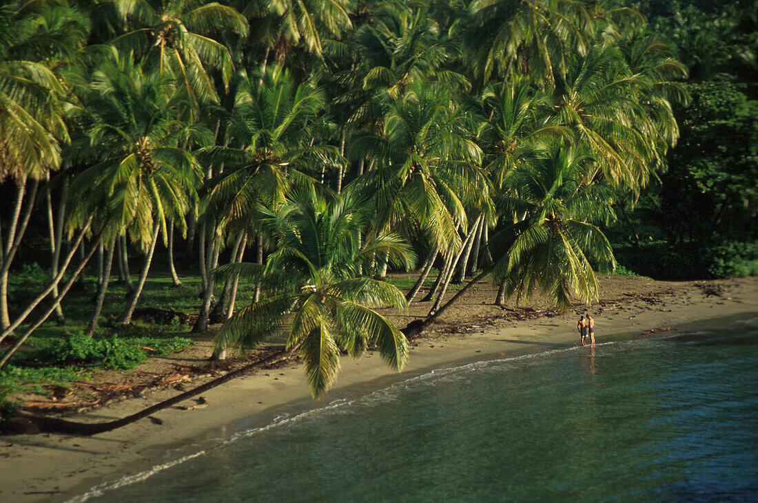 Playa Anadel, Halbinsel Samana, Dominikanische Republik Karibik