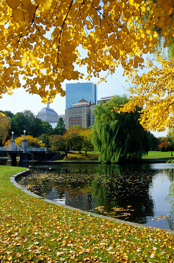 Autumnal trees and pond at a park, Boston, Massachusetts, USA, America