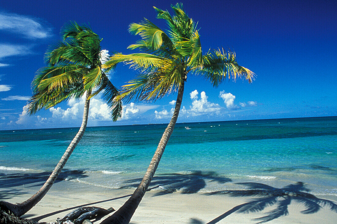 Las Terrenas, Halbinsel Samana, KB.Original ist beim Fotografen FMF Dominikanische Republik Karibik