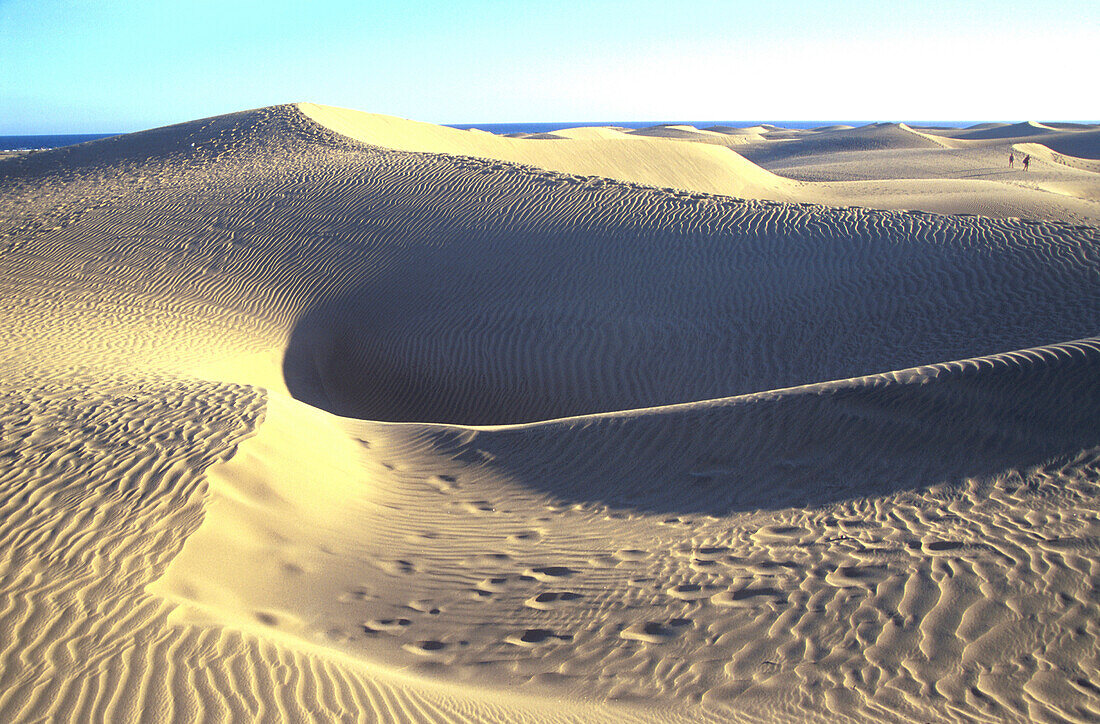 Sandduenen, Maspalomas, Gran Canaria, Kanarische Inseln Spanien