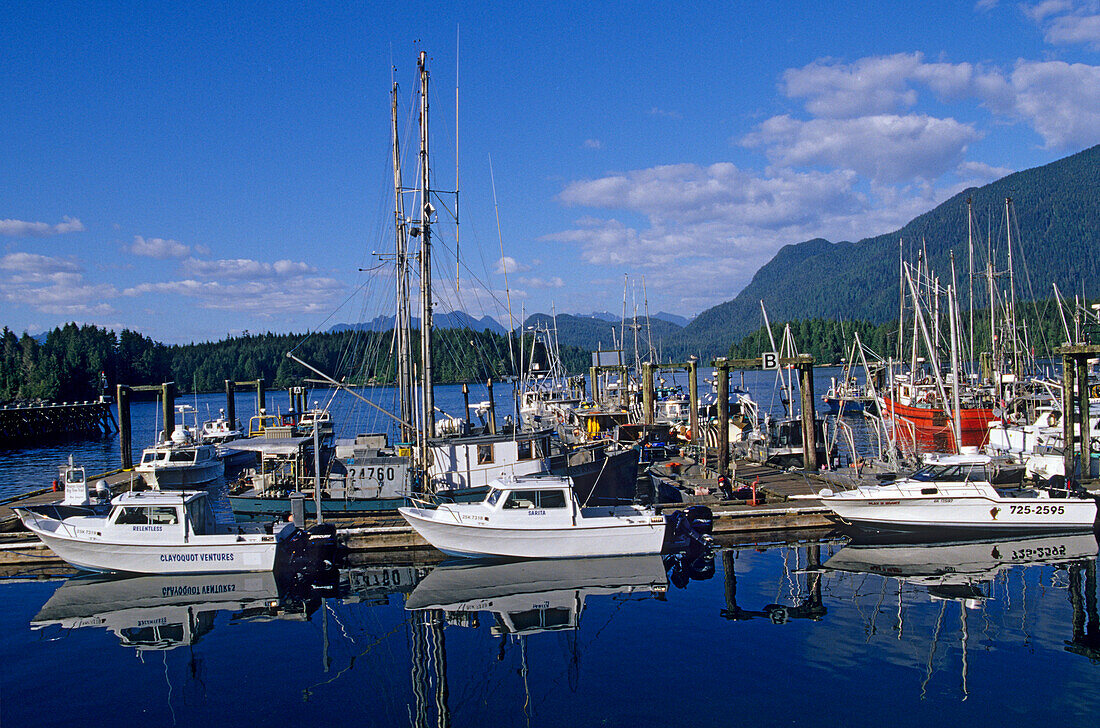 Harbour in Torfino, Torfino, Vancouver Island, British Columbia, Canada