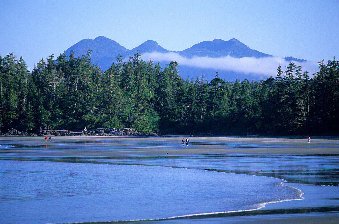Mac Kenzie Beach am Morgen, Pacific Rim Nationalpark, Vancouver Island, Britisch-Kolumbien, Kanada, Amerika