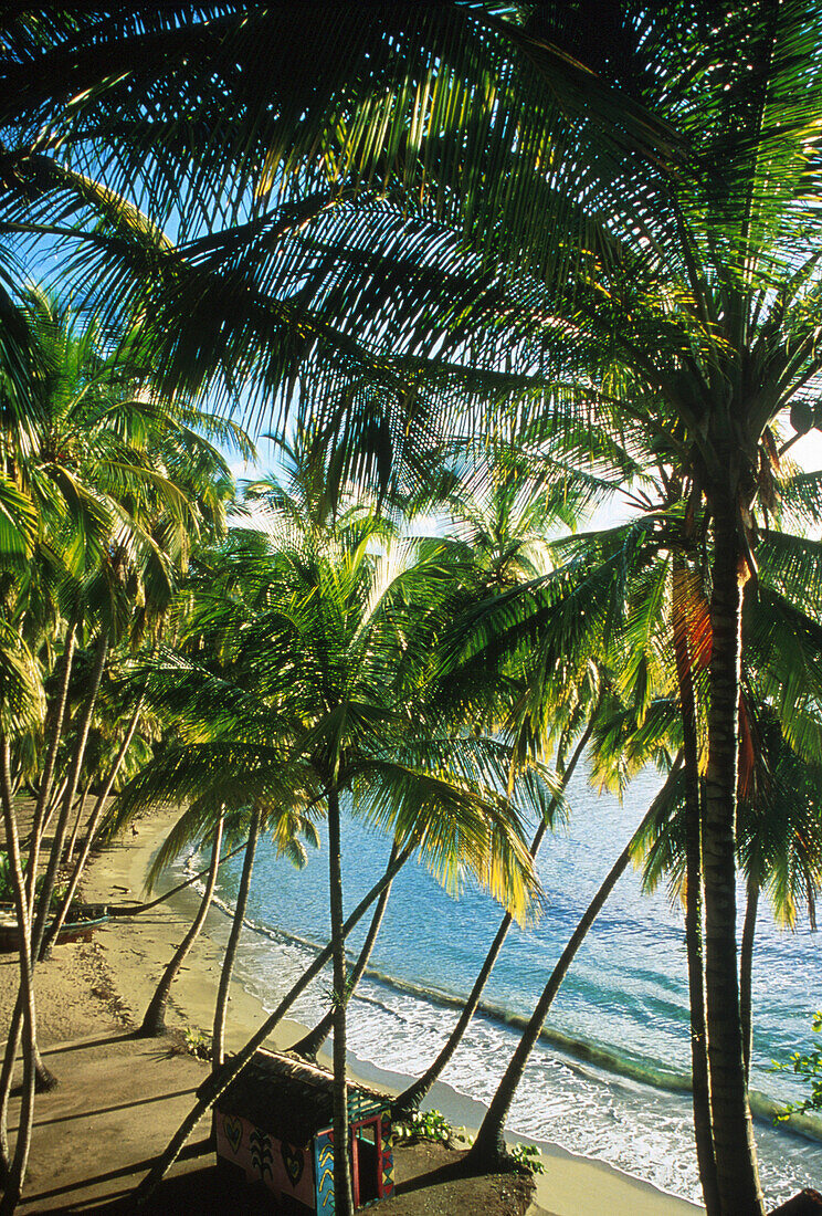 Playa Anadel, Halbinsel Samana, KB-Original ist beim Fotografen FMF Dominikanische Republik Karibik, Amerika