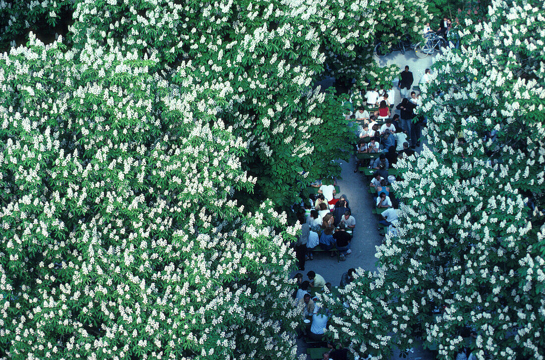 Biergarten Chinesischer Turm, Englischer Garten München