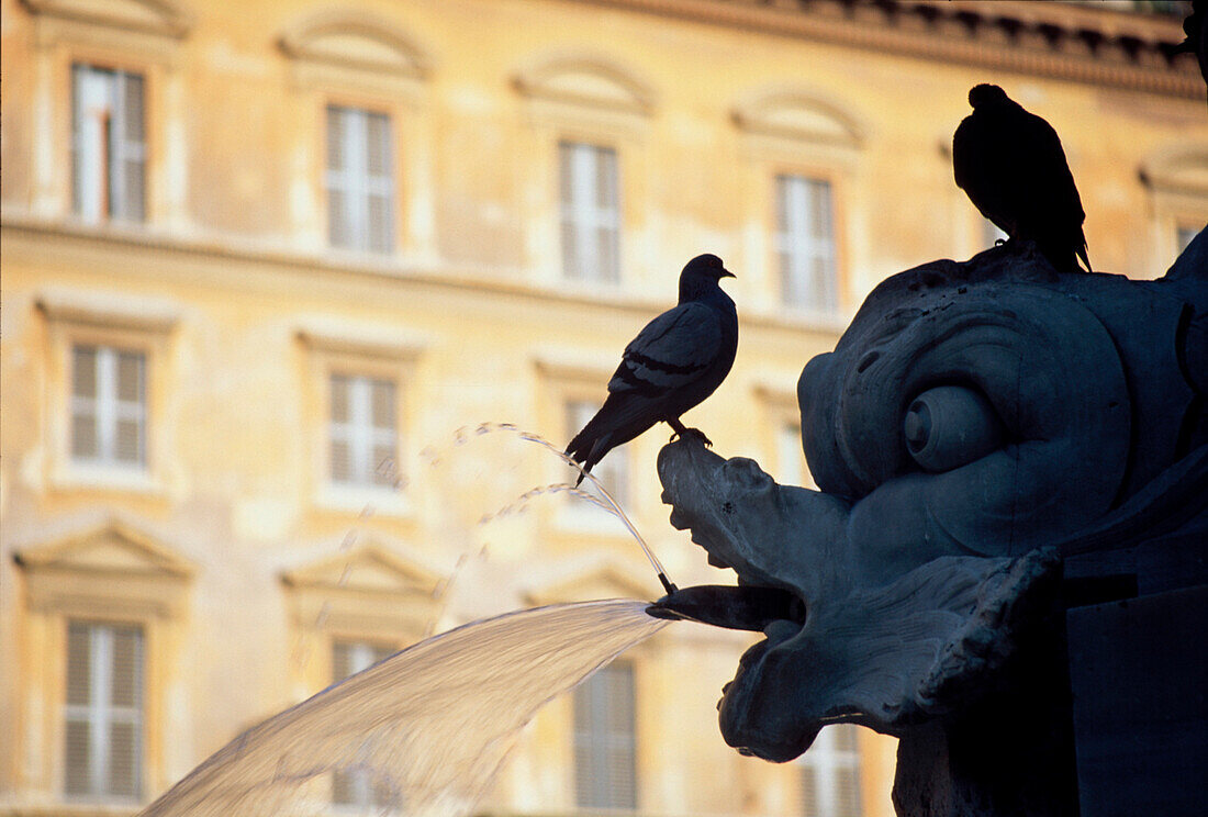 Brunnen, Piazza Rotonda Rom, Italien