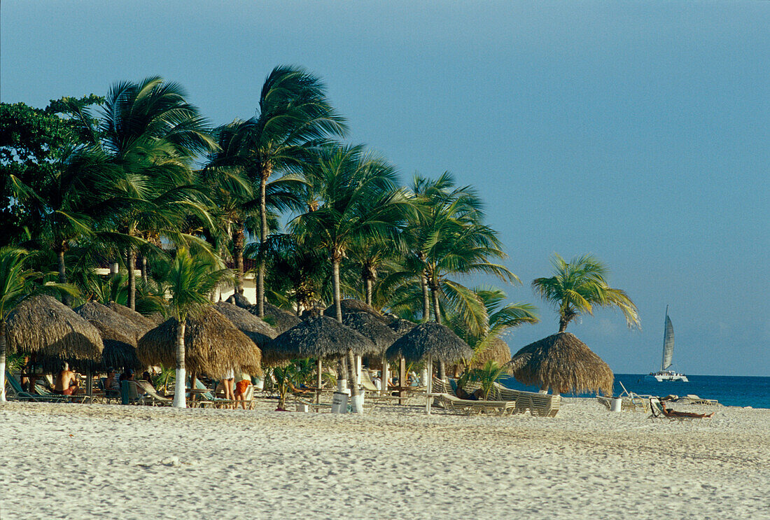 Bucuti Beach, Westküste, Aruba Niederländische Antillen