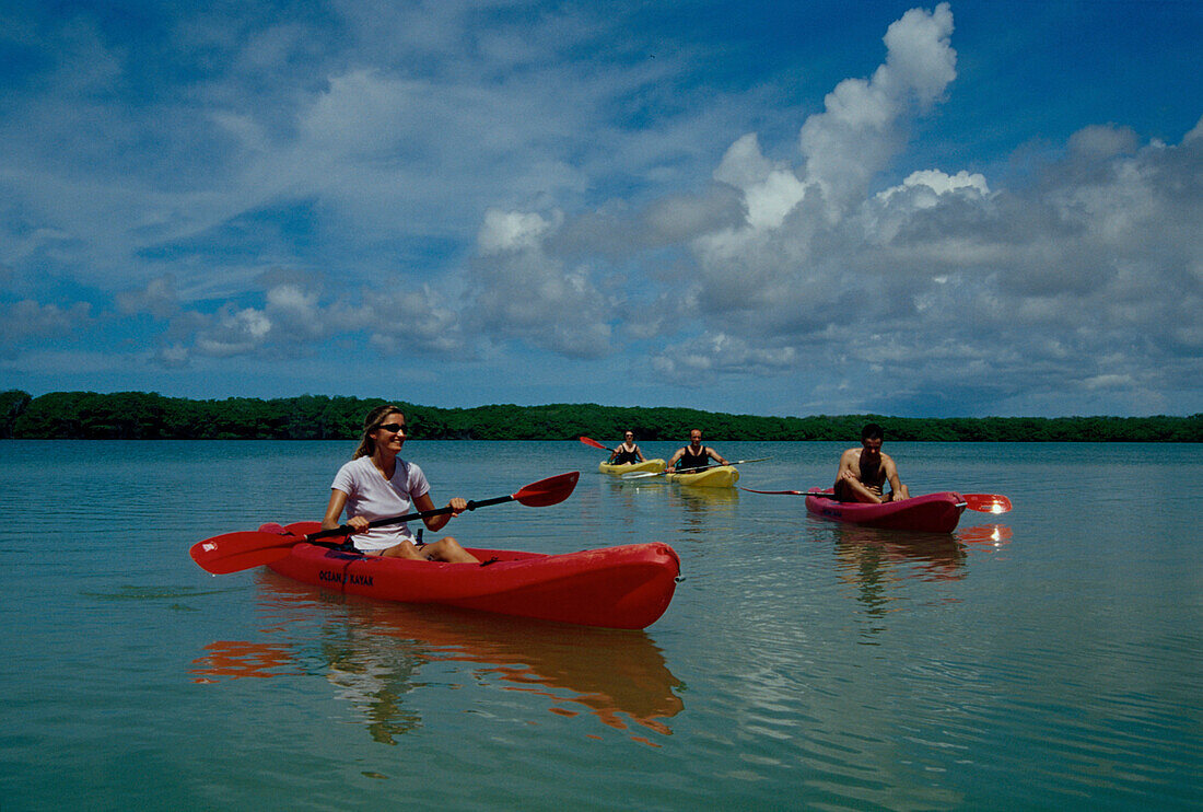 Kajaks, Lac Bay, Bonaire Niederländische Antillen