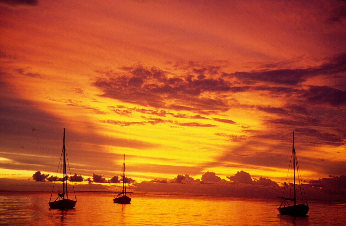 Sonnenuntergang, Segelboote, Bayahibe, Dominikanische Republik Karibik