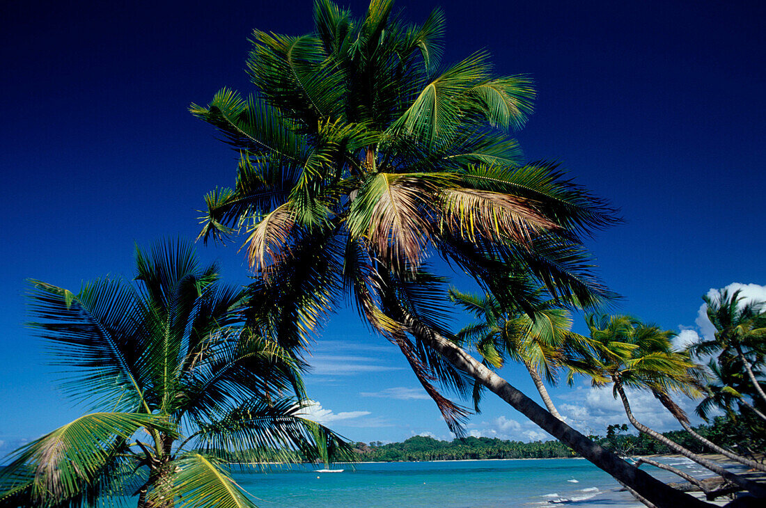 Strand, Las Terrenas, Halbinsel Samana, Dominikanische Republik Karibik