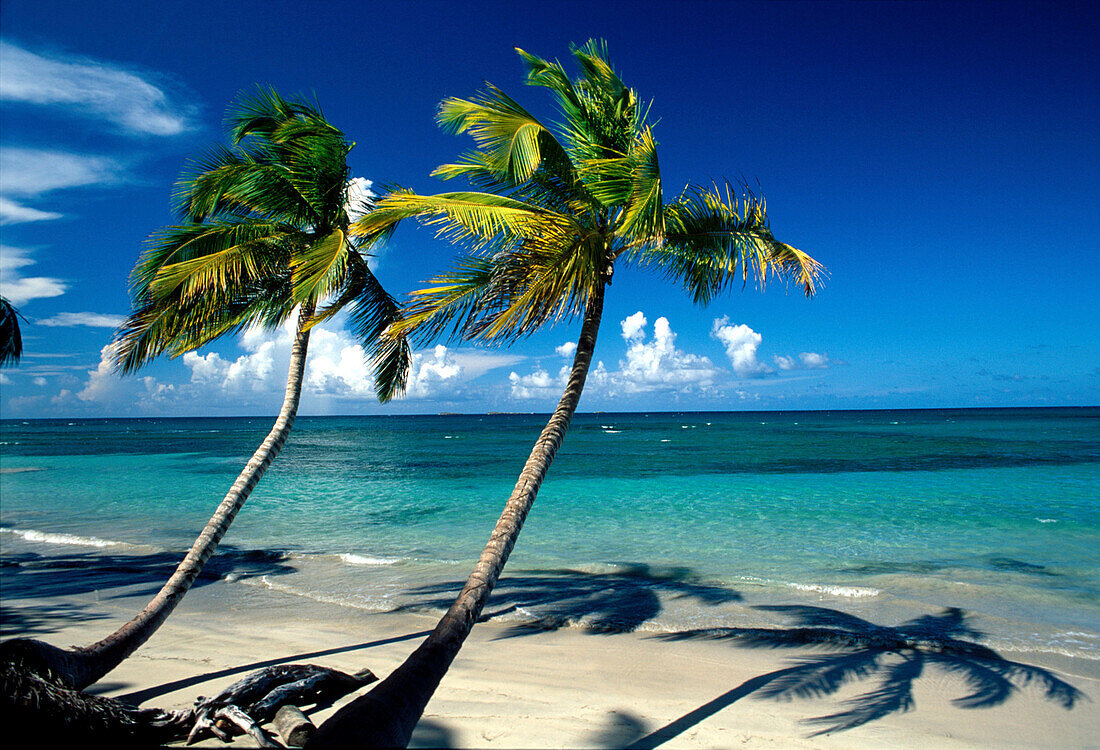 Strand, Las Terrenas, Halbinsel Samana, Dominikanische Republik Karibik