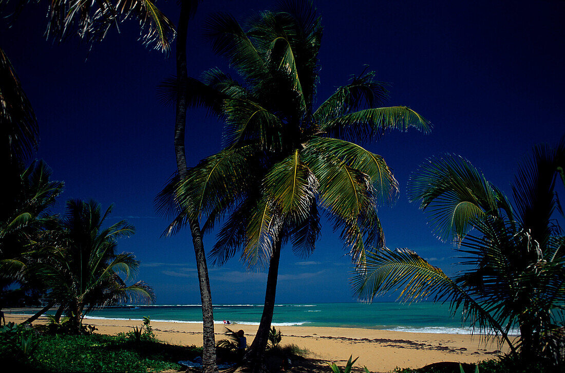 Strand, Seven Seas, Palmen, Puerto Rico