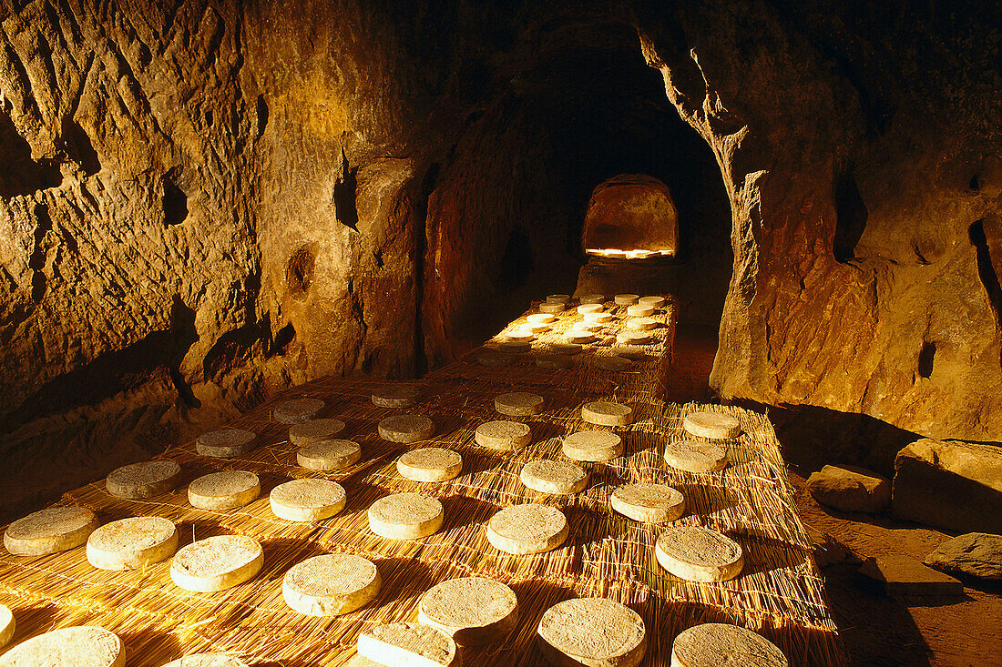St. Nectaire cheese ripening in a cave, Auvergne, France, Europe